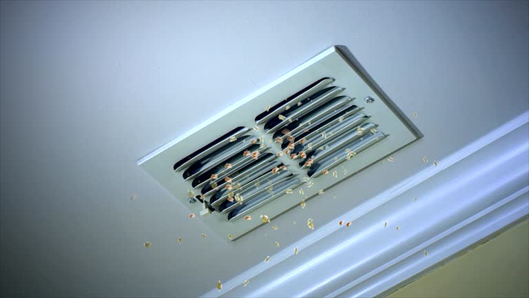 Best Ductwork Cleaning Services  in Cedar Rapids, IA