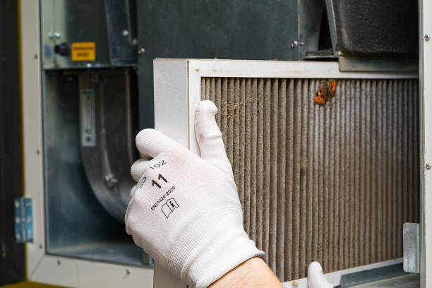 Best Local Air Duct Cleaning Services  in Cedar Rapids, IA