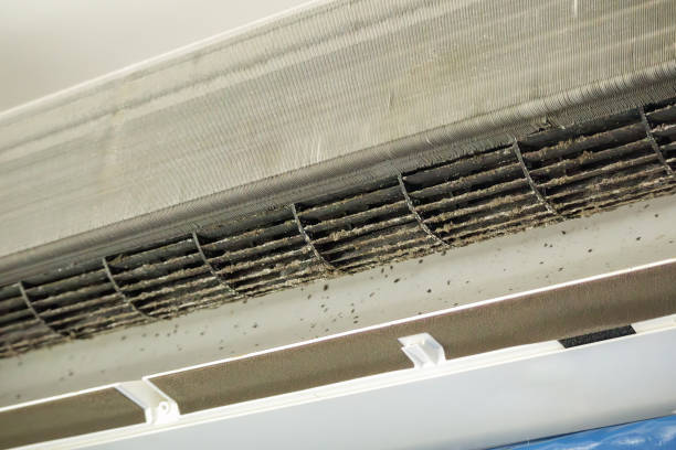 Best Ventilation Cleaning Services  in Cedar Rapids, IA