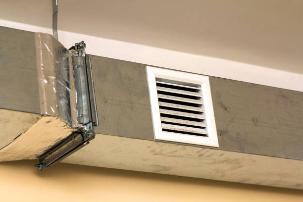 Best Air Duct Mold Removal  in Cedar Rapids, IA